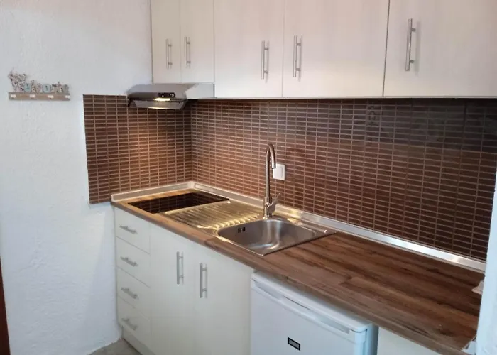 Ethnicks 1 Lejlighed *